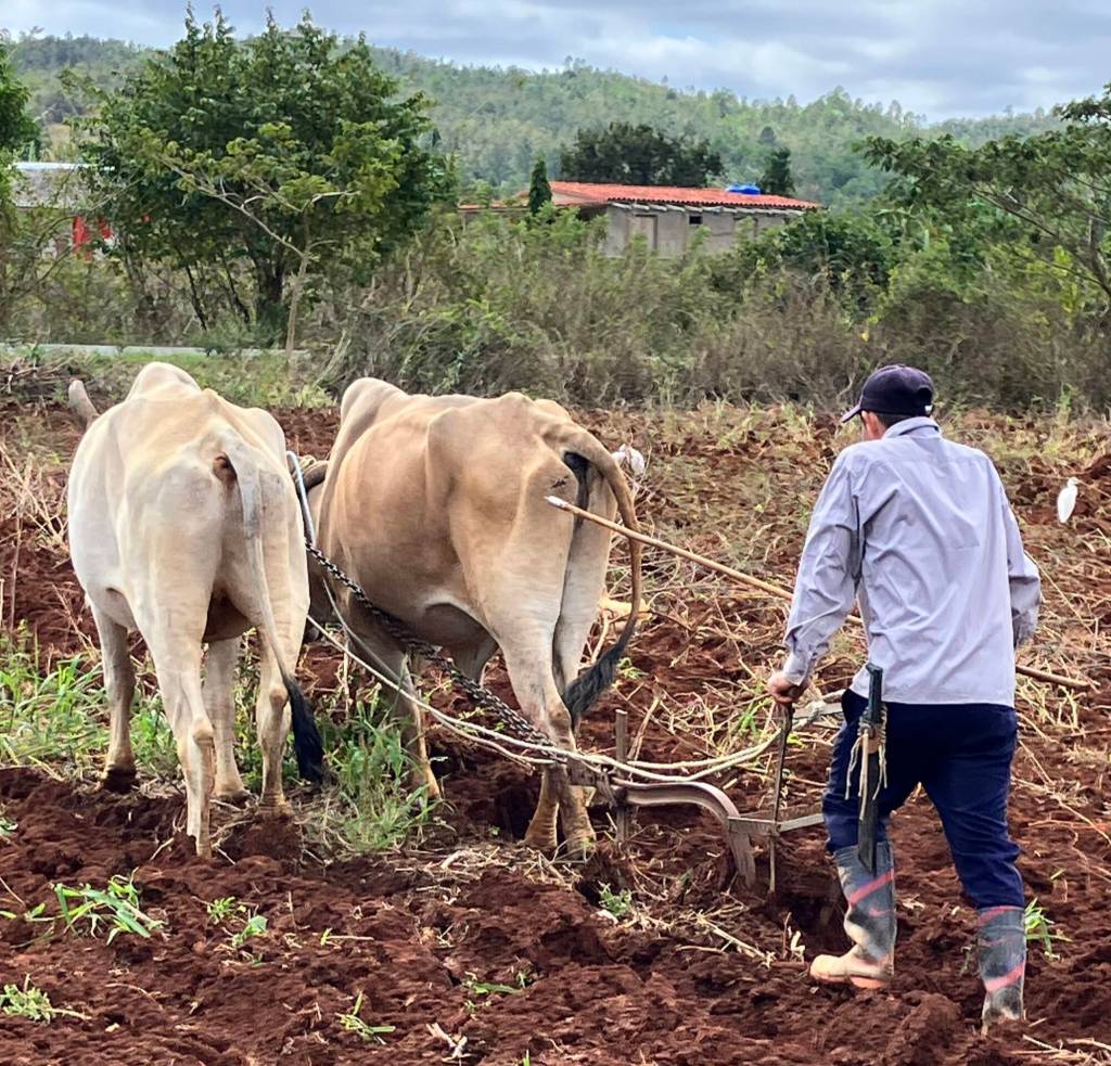 RANCH MUSINGS: A Cariboo rancher visits Cuba