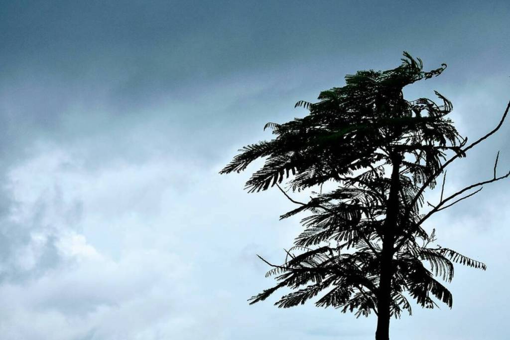 Environment Canada has issued a special weather statement for the Kootenays, with high winds expected.